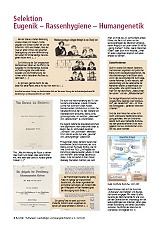 Bild Tafel 15: Selektion Eugenik - Rassenhygiene - Humangenetik