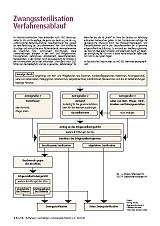Bild Tafel 4: Zwangssterilisation Verfahrensablauf